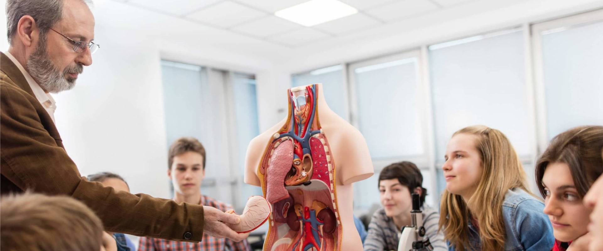 Anatomy and Physiology Tutoring: How to Improve Your Academic Performance and Prepare for Tests