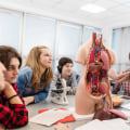 Anatomy and Physiology Tutoring: How to Improve Your Academic Performance and Prepare for Tests