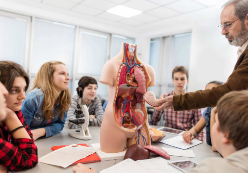 Anatomy and Physiology Tutoring: How to Improve Your Academic Performance and Prepare for Tests